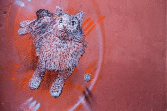 C215 à Marrakech