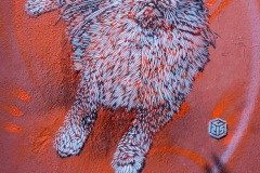 C215 à Marrakech