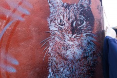 C215 à Marrakech