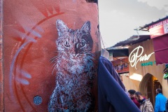 C215 à Marrakech