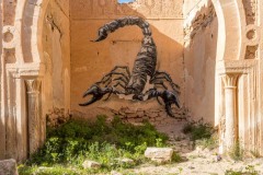 Sur les murs de Djerba