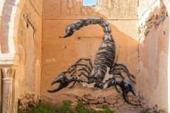 Sur les murs de Djerba