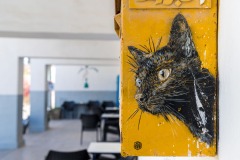 Sur les murs de Djerba