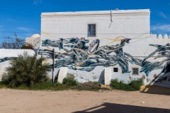 Sur les murs de Djerba