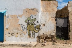 Sur les murs de Djerba