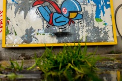 Sur les murs de Paris