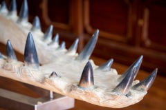 "Anomal" exposition de Quentin Garel au domaine de Chamarande (91)