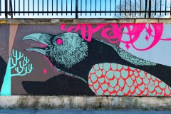 Graffitis sur les murs de Paris