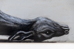 "Histoire naturelle" exposition de ROA à la galerie Itinerrance