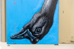 "Histoire naturelle" exposition de ROA à la galerie Itinerrance