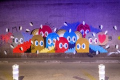 Sur les murs de Paris