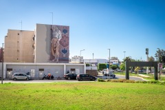 Street art à Rabat - Maroc