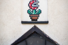 MUN_09 - Piranha Plant - Nymphenburger Strasse - Munich