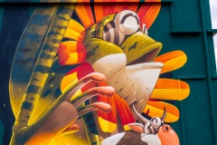 Street art fest à Grenoble