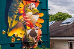 Street art fest à Grenoble