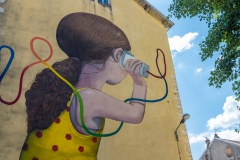 Sur les murs de Grenoble