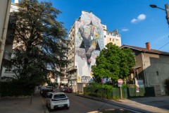 Street art fest à Grenoble