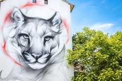 Street art fest à Grenoble