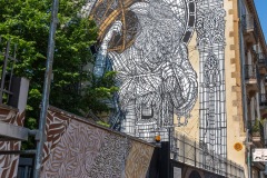 Street art fest à Grenoble