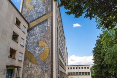 Sur les murs de Grenoble