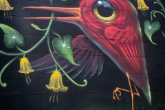 Street art fest à Grenoble