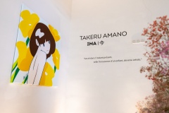 "IMA" exposition de Takeru Amano à la galerie Sato