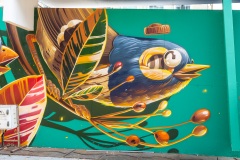 Sur les murs d'Amiens