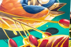 Sur les murs d'Amiens