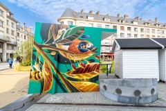 Sur les murs d'Amiens