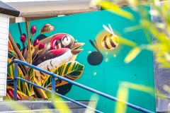 Sur les murs d'Amiens