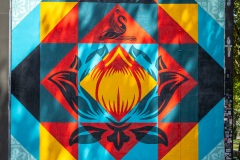 Sur les murs de Paris