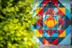 Sur les murs de Paris