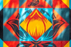 Sur les murs de Paris