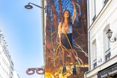 Sur les murs de Paris