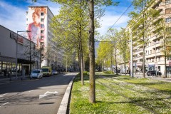 Street art Fest à Grenoble