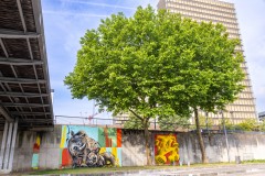 Sur les murs de Paris