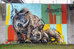 Sur les murs de Paris