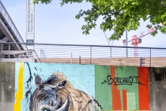 Sur les murs de Paris