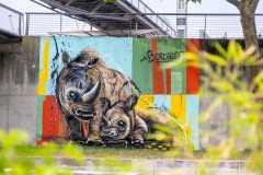 Sur les murs de Paris