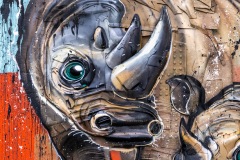 Sur les murs de Paris