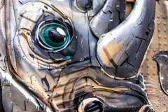 Sur les murs de Paris