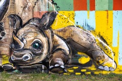 Sur les murs de Paris