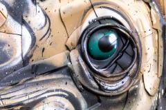 Sur les murs de Paris