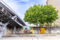 Sur les murs de Paris