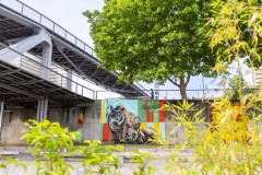 Sur les murs de Paris