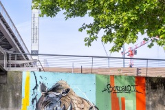 Sur les murs de Paris