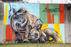 Sur les murs de Paris