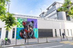 Sur les murs de Paris