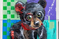 Sur les murs de Paris