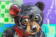 Sur les murs de Paris